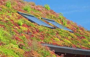 Somersal Herbert living roof systems